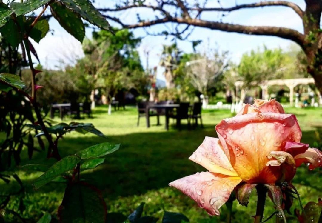 Otantik Tas Ev Bed & Breakfast Dalaman Exterior photo
