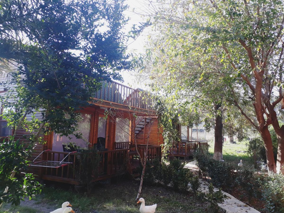 Otantik Tas Ev Bed & Breakfast Dalaman Exterior photo